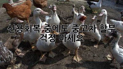 신용회복 중에도 중고차 할부? 걱정 마세요!