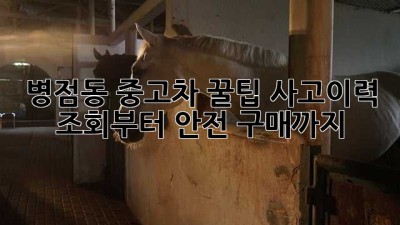 병점동 중고차 꿀팁🍯: 사고이력 조회부터 안전 구매까지!